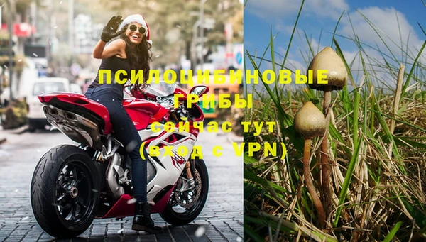 mdma Пролетарск